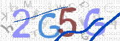 この文字を入力してください