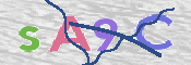 この文字を入力してください