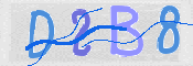 この文字を入力してください