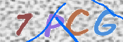 この文字を入力してください