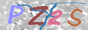 この文字を入力してください