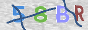 この文字を入力してください
