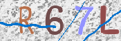 この文字を入力してください