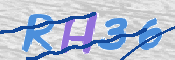 この文字を入力してください
