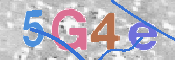 この文字を入力してください