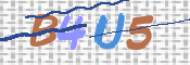 この文字を入力してください