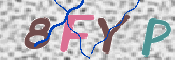 この文字を入力してください