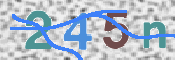 この文字を入力してください