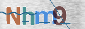 この文字を入力してください