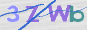 この文字を入力してください