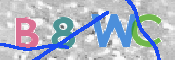 この文字を入力してください