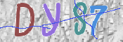 この文字を入力してください