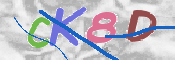 この文字を入力してください