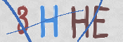 この文字を入力してください
