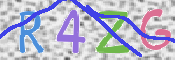 この文字を入力してください