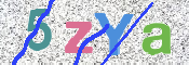 この文字を入力してください