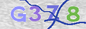 この文字を入力してください