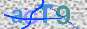 この文字を入力してください
