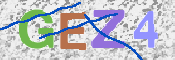 この文字を入力してください
