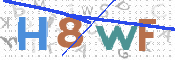 この文字を入力してください