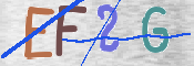 この文字を入力してください