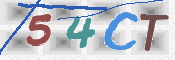 この文字を入力してください
