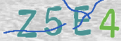 この文字を入力してください