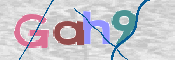 この文字を入力してください