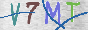 この文字を入力してください