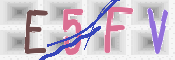 この文字を入力してください