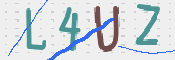 この文字を入力してください