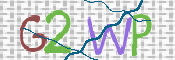 この文字を入力してください