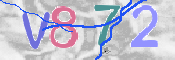 この文字を入力してください