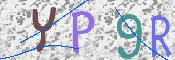 この文字を入力してください