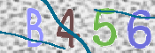 この文字を入力してください