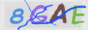 この文字を入力してください