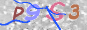 この文字を入力してください