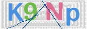 この文字を入力してください