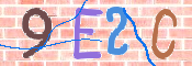 この文字を入力してください