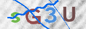 この文字を入力してください