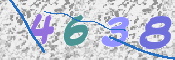 この文字を入力してください