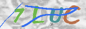 この文字を入力してください