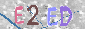 この文字を入力してください