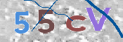 この文字を入力してください