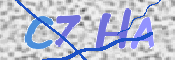 この文字を入力してください