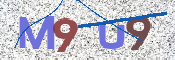 この文字を入力してください