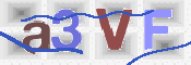 この文字を入力してください