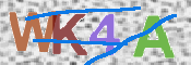 この文字を入力してください