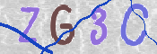 この文字を入力してください