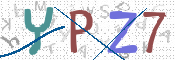 この文字を入力してください